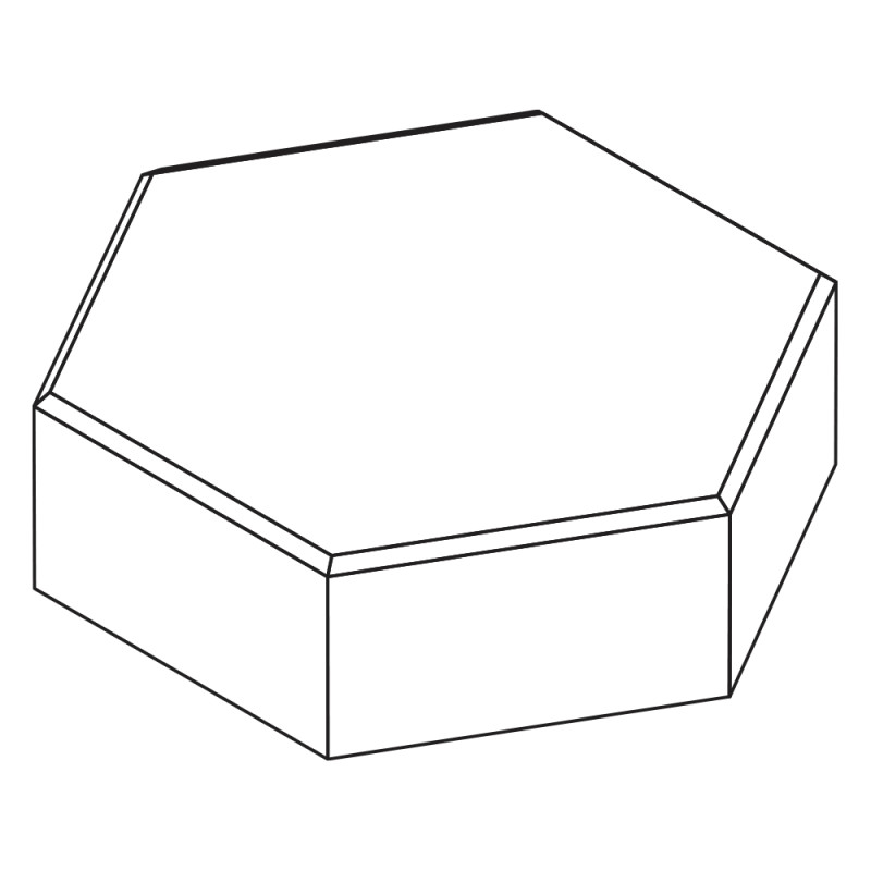 Hexagon Paving Block
